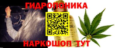 apvp Камышлов