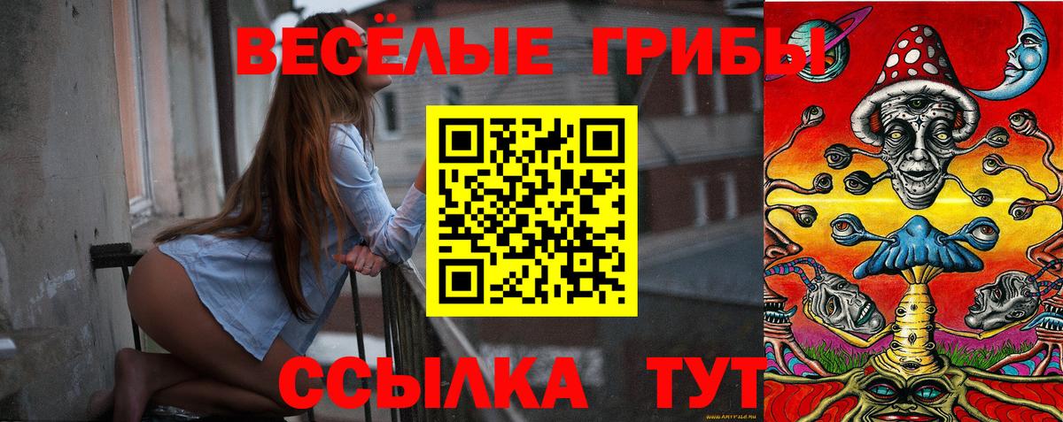 Галлюциногенные грибы Cubensis Ленинск-Кузнецкий